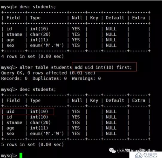 MySQL 数据库的基本使用