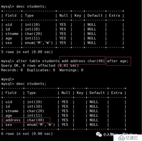 MySQL 数据库的基本使用