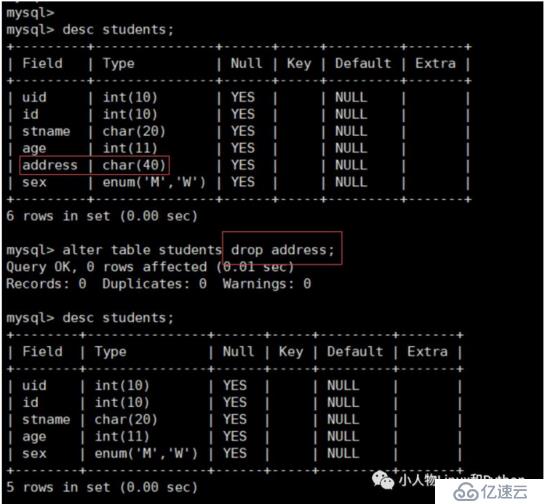 MySQL 数据库的基本使用