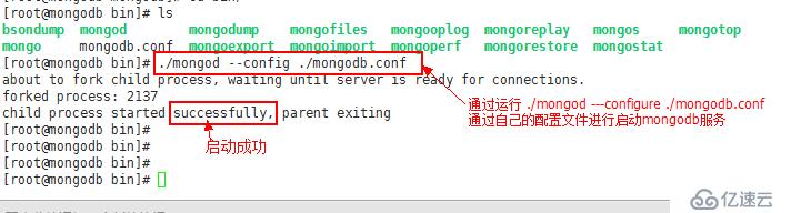 mongodb 安装