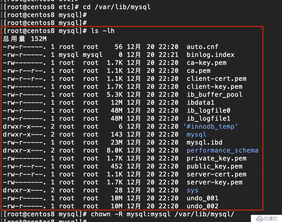 CentOS8 安装 MySQL8.0（RPM）