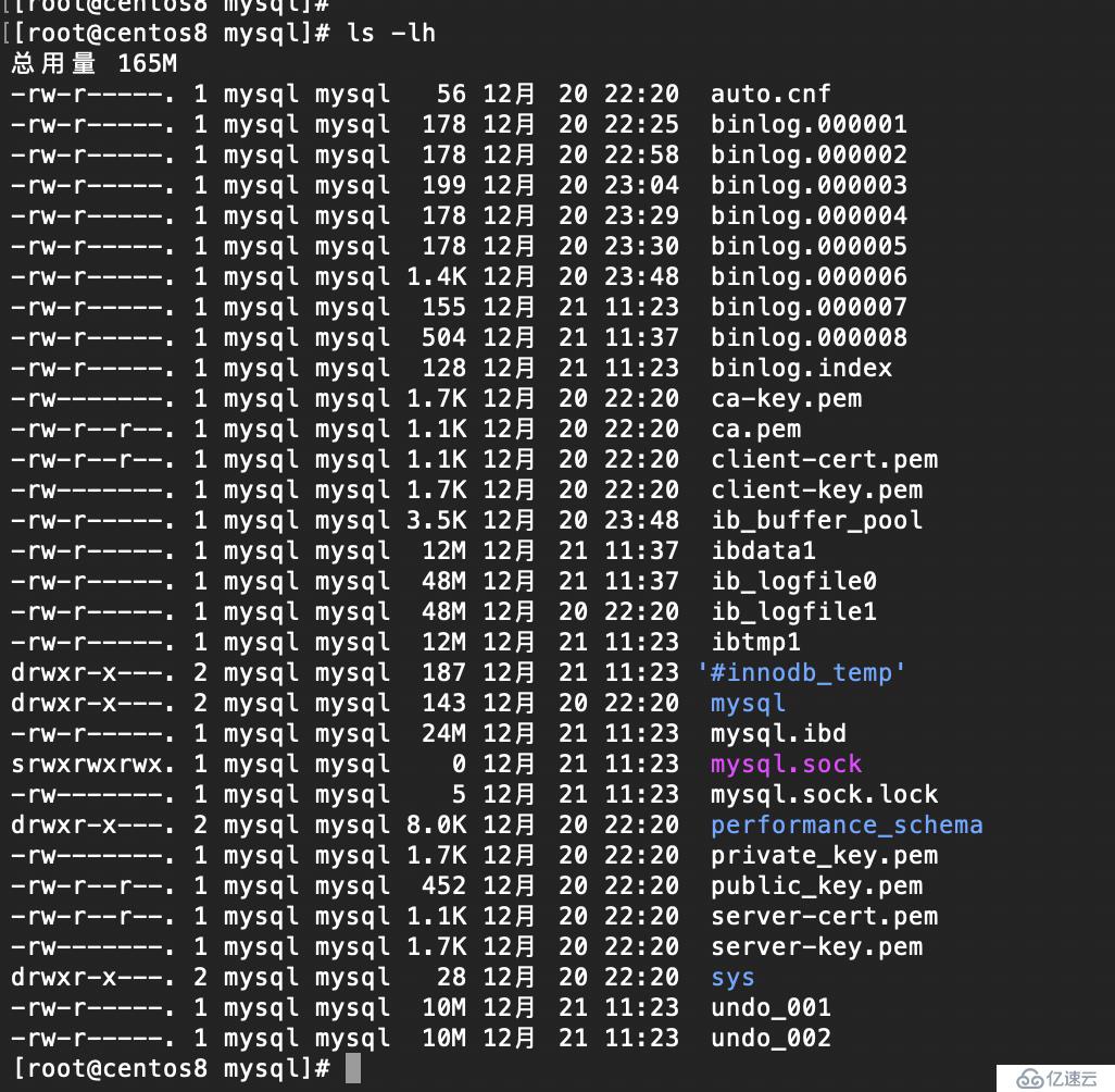 CentOS8安装配置MySQL8.0教程