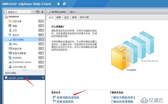 存储与虚拟主机管理