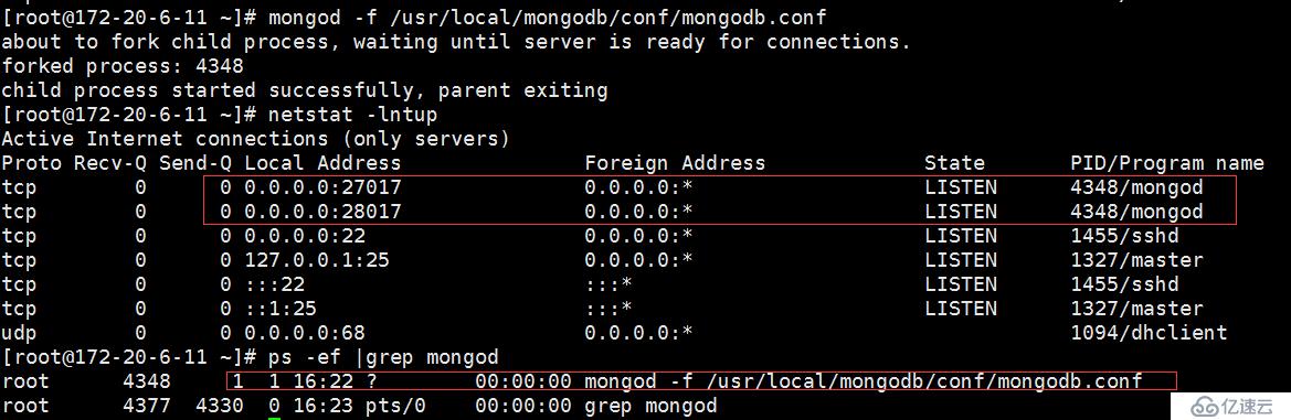 MongoDB基础