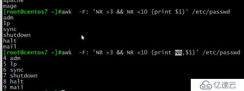 awk详解及举例