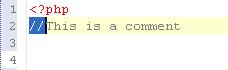 專業(yè)級智能PHP IDE Zend Studio教程：如何添加注釋