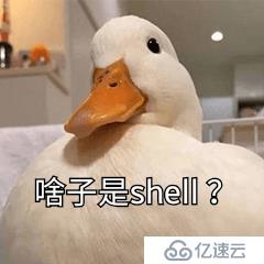 學習shell，你必須要知道這些~