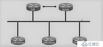 OSPF动态路由协议——理论巩固篇