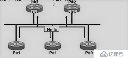 OSPF动态路由协议——理论巩固篇