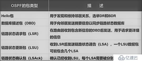 OSPF动态路由协议——理论巩固篇