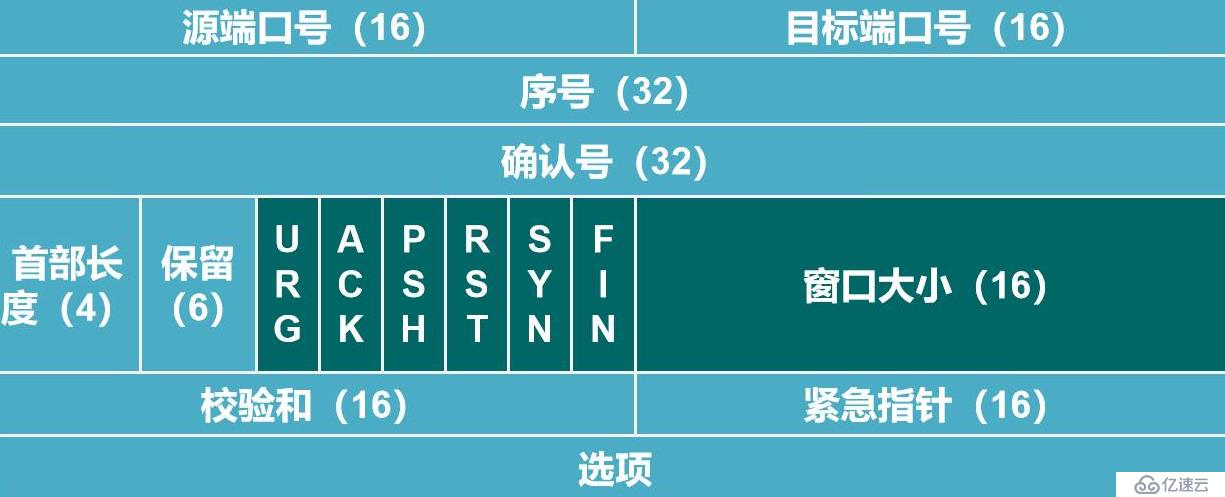 传输层协议介绍、重要的TCP三次/四次挥手