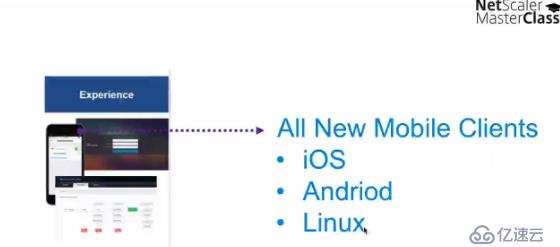 Citrix NetScaler 11的新功能 - Mast