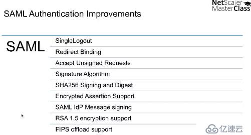 Citrix NetScaler 11的新功能 - Mast