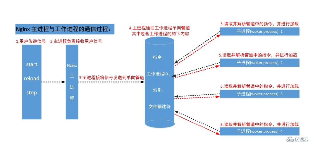 Nginx基础