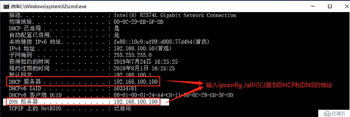 基于DHCP+DNS+WEB的小型架构