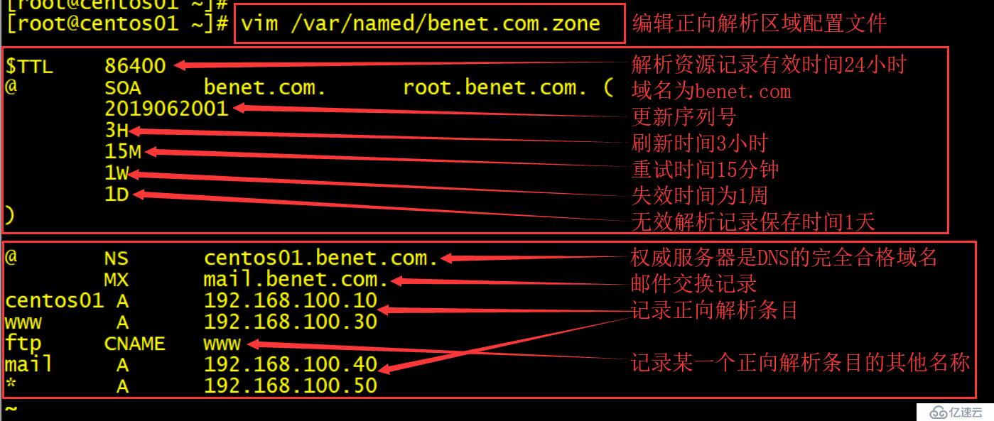 CentOS7简单搭建DNS服务