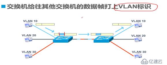 Trunk与三层交换机原理