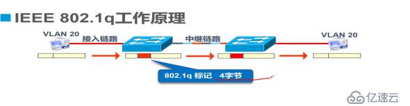 Trunk与三层交换机原理