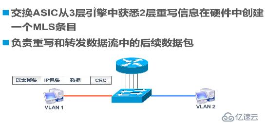 Trunk与三层交换机原理