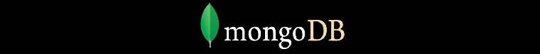 MongoDB unique index