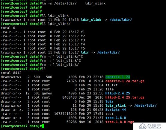 Linux文件目录介绍及操作