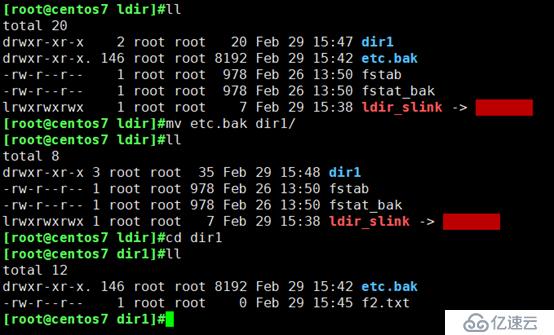 Linux文件目录介绍及操作