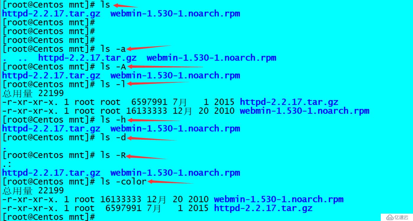 Linux常用的基礎命令