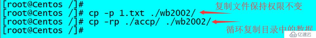 Linux常用的基礎命令