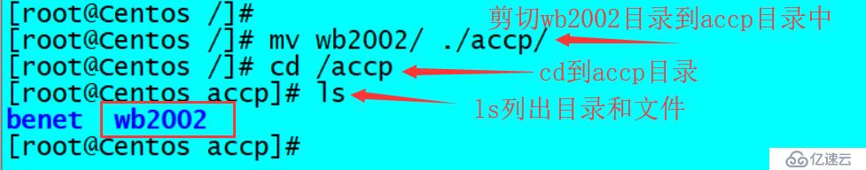 Linux常用的基础命令