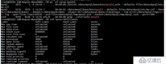 Mysql 连接数与配置文件不一致问题