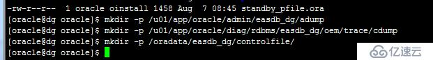 Oracle Dg配置过程