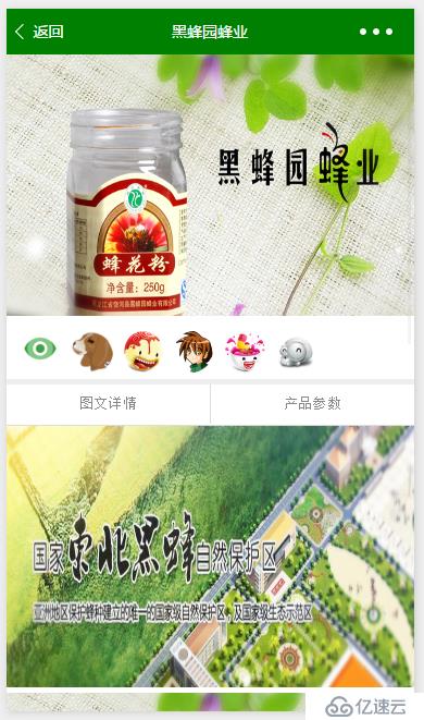 微信小程序项目实践 项目范围及开发计划