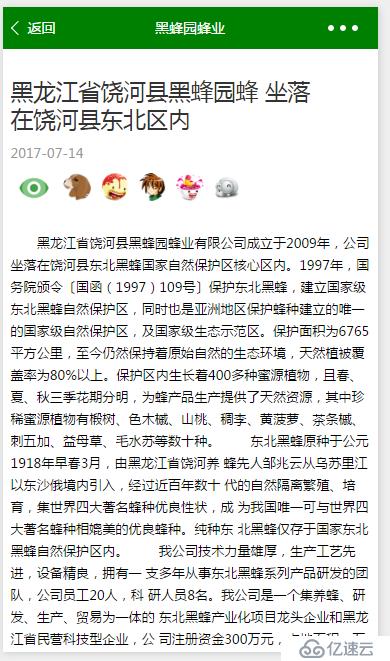 微信小程序项目实践 项目范围及开发计划