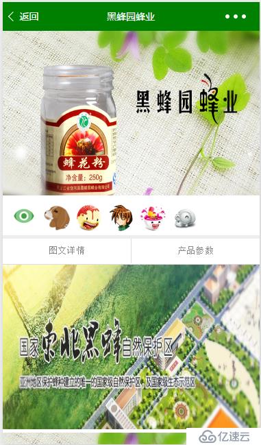 微信小程序项目实践 项目范围及开发计划