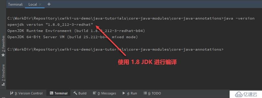 怎么解决Java项目编译错误Error:java: java.lang.ExceptionInIniti