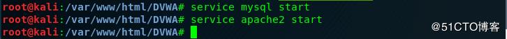 Kali Linux安装dvwa本地shentou测试环境