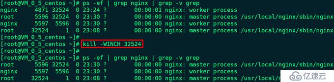 Nginx版本平滑升级