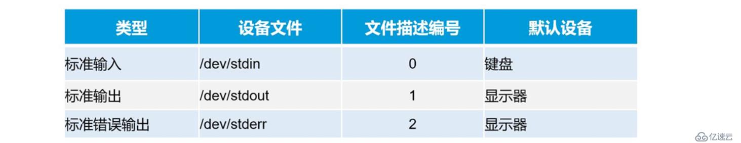 理论+实操 ：shell编程规范与变量————理论讲解，新手必看