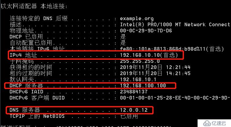 实验：在不同网段中搭建DHCP服务和跨网段的DNS、web服务