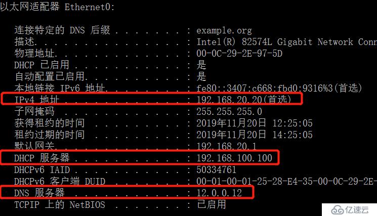 实验：在不同网段中搭建DHCP服务和跨网段的DNS、web服务