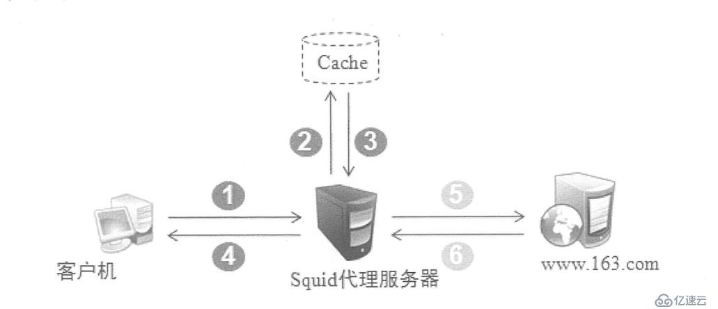 Centos 7安装Squid代理服务及构建传统代理