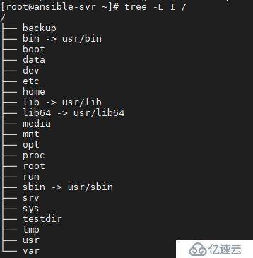 （二）Linux系统目录，文件管理及文本编辑工具vim