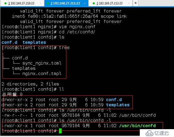 Confd实现Nginx配置文件自动管理