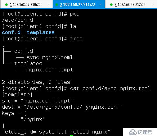 Confd实现Nginx配置文件自动管理