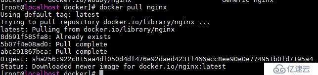 docker安装nginx