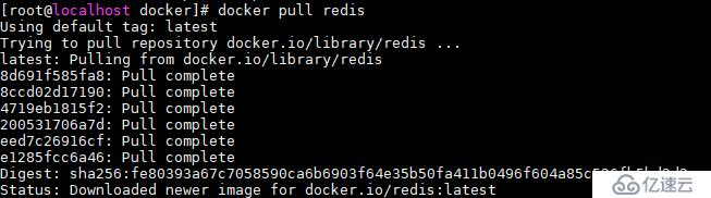 docker 安装redis