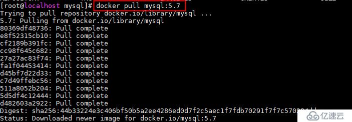 docker 安装mysql5.7