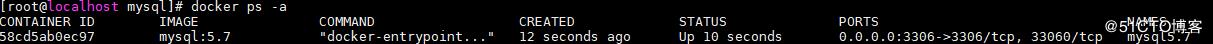 docker 安装mysql5.7