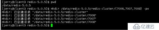 最新版redis5.0.5集群搭建( 4主5从Centos7)