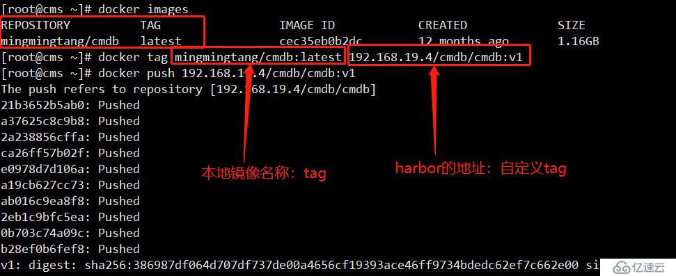 docker推送镜像到harbor